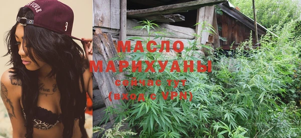 гашик Вяземский
