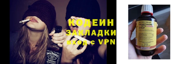 гашик Вяземский