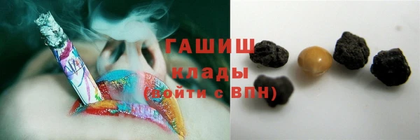 гашик Вяземский