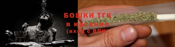 гашик Вяземский