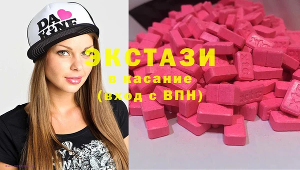 гашик Вяземский