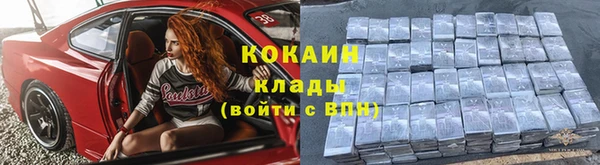 гашик Вяземский