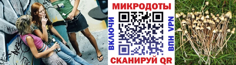 Псилоцибиновые грибы ЛСД  Купить закладки  Белоярский 
